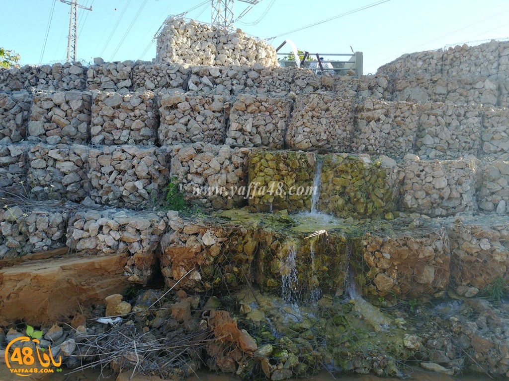 mokhayam hai2a (10).jpg